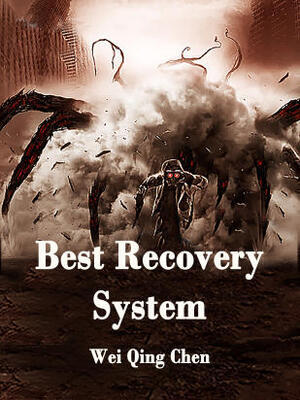 Best Recovery System