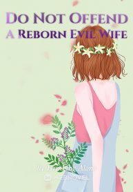 Do Not Offend A Reborn Wicked Wife